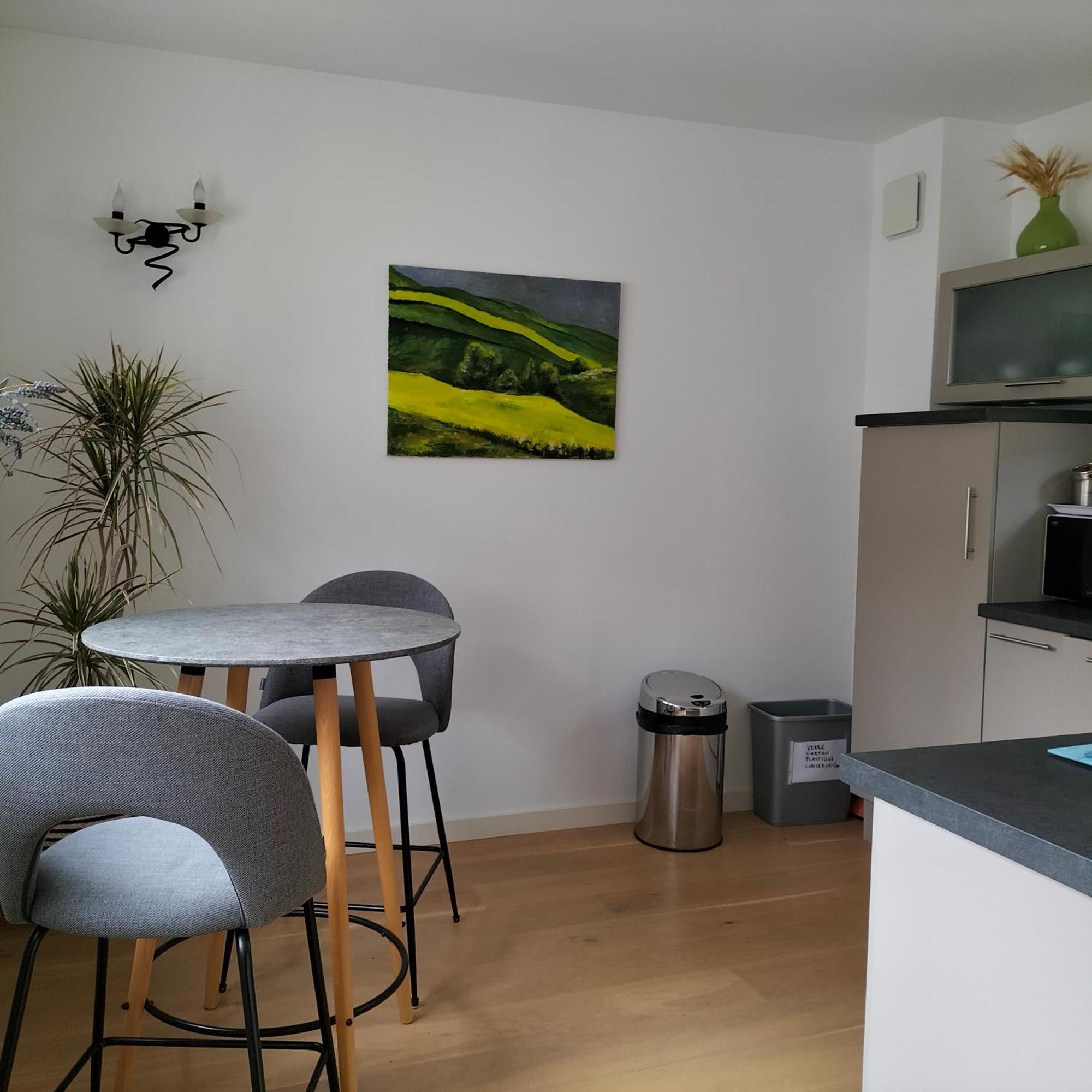 Appartement Salamandre Orléans Kültér fotó